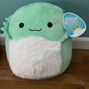 Abe the bearded dragon